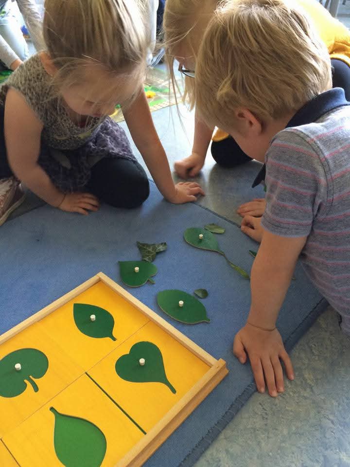 Kinderen werken samen
